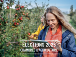 Election chambre agriculture