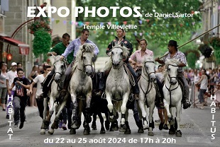 expo sartor